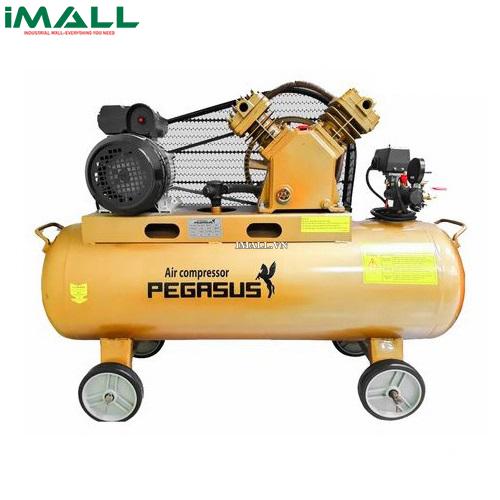 Máy nén khí mini PEGASUS TM-V-0.17/8-180L
