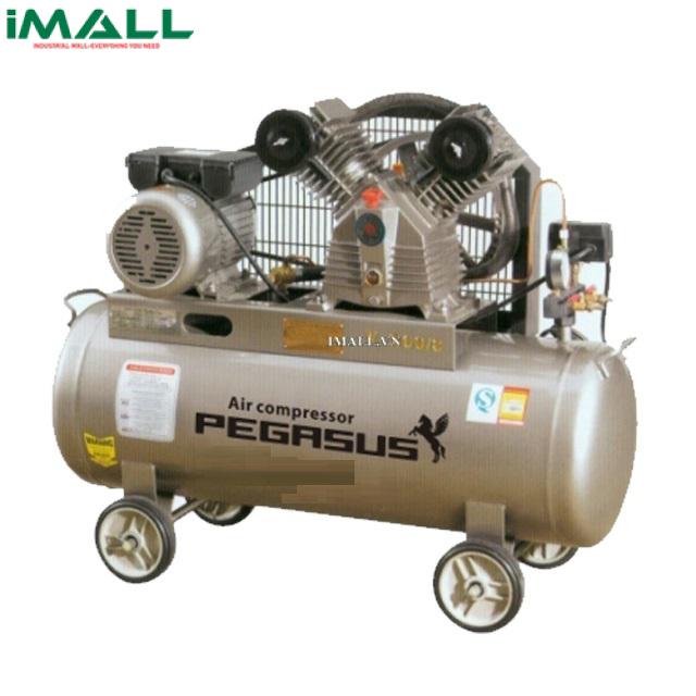 Máy nén khí mini PEGASUS TM-V-0.17/8-70L