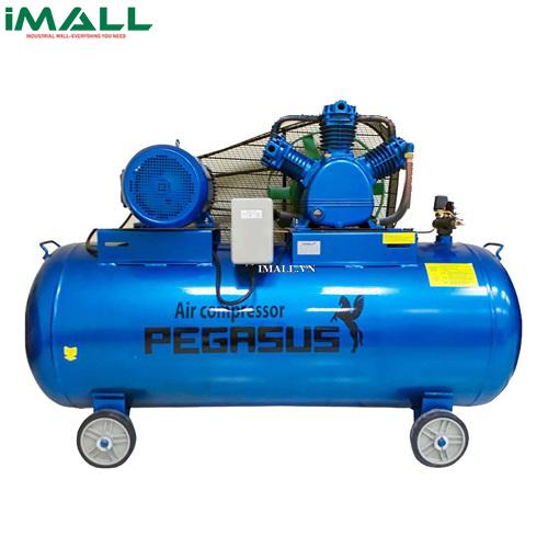 Máy nén khí PEGASUS TM-W-0.67/8-330L