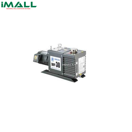 Bơm chân không cánh quay HINOTEK BSV30 (30(500)m^3/h (L/min), 36(600)m^3/h (L/min))