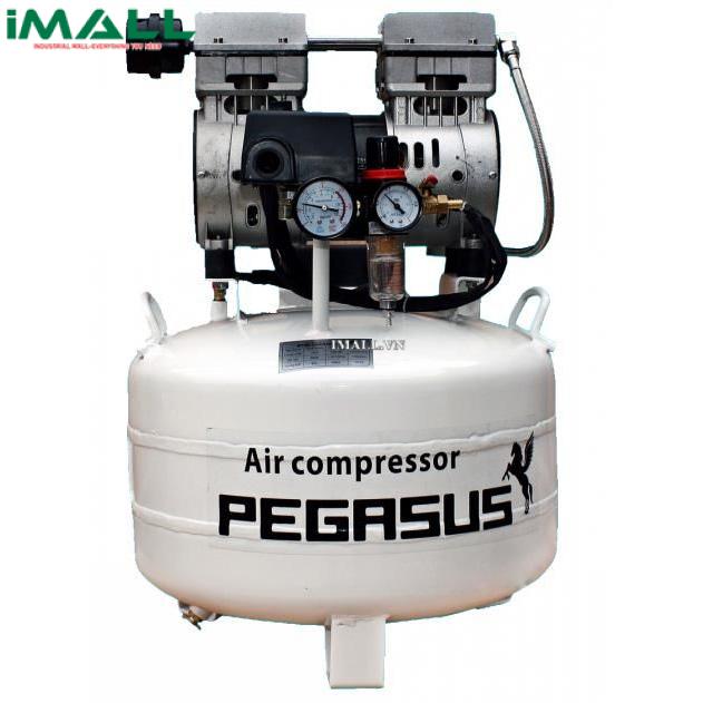 Máy nén khí không dầu PEGASUS TM-OF750-40L