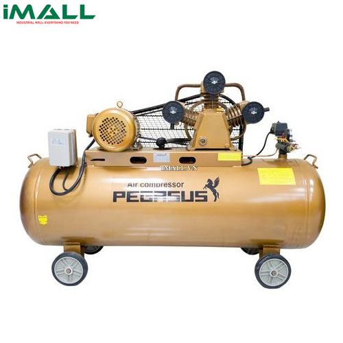 Máy nén khí dây đai PEGASUS TM-W-1.6/8-500L