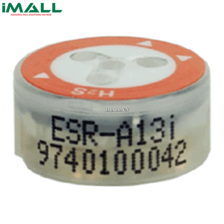 Cảm biến đo nồng độ H2S Riken Keiki ESR-A13I-H2S